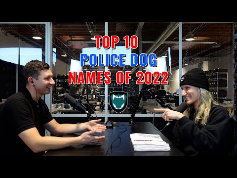 Top 10 Police