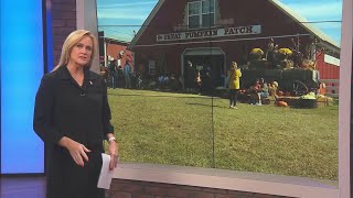 Summer drought causing pumpkin shortage in Alabama