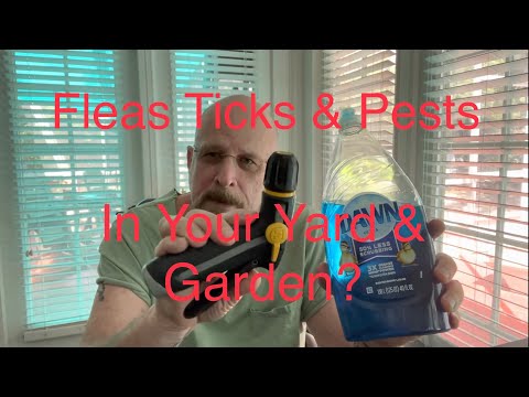 Video: Tick Control For Yards - Cara Menghilangkan Kutu Di Kebun Saya