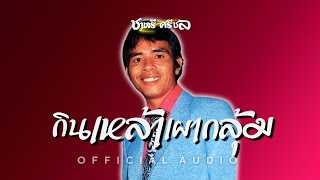 กินเหล้าเผากลุ้ม - ชาตรี ศรีชล [Official Audio]