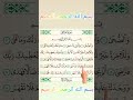 #سورة الضحى#quran #duet #المصحف #quranverses #egzonibrahimi