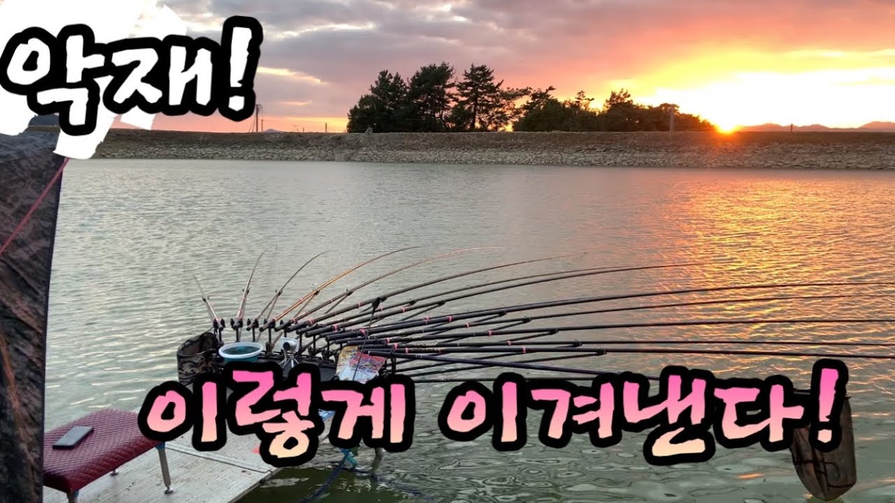물빠지고,강풍에 카메라 엎어지고 해도 붕어는 나온다 ~~