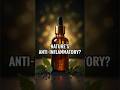 BLACK SEED OIL – A NATURAL ANTI-INFLAMMATORY BACKED BY SCIENCE #health #wellness #food #nutrition