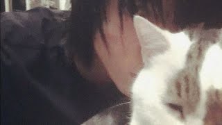 rehash - insurance (lyrics)