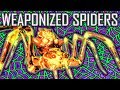 Weaponized SPIDERS Of Skyrim - Elder Scrolls Detective