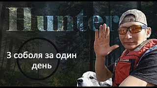 Охота на соболя в Якутии/ 3 соболя за день.//3 sable.