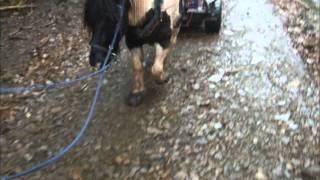 hoofbootsfingle