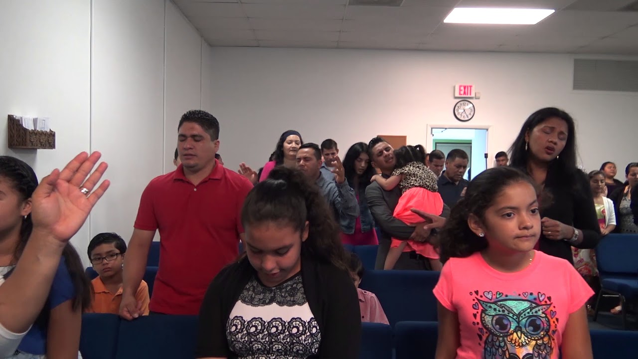 Dentro encorbada y Salio Enderesada camera iphone 8 plus apk