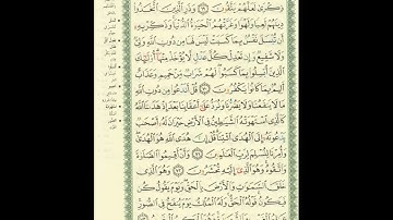 الورد اليومى.. سورة الأنعام من الاية 69 الى الاية 73 بصوت القارئ الشيخ ياسر الدوسرى