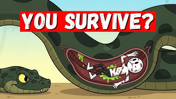 What If You Were Swallowed by an ANACONDA?