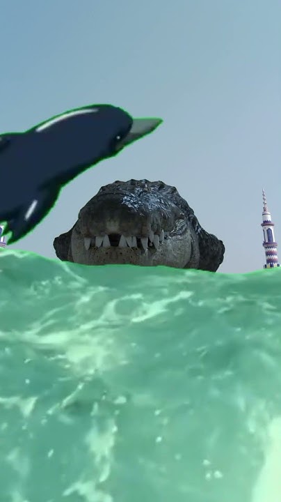 Live footage of tsunami in hawaii youtube