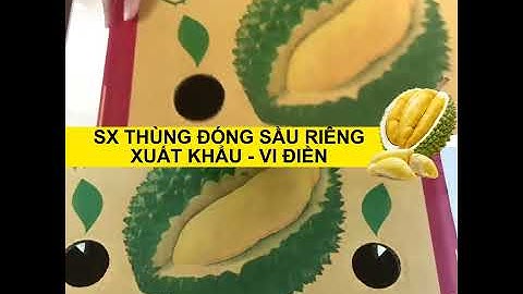 Thùng carton sầu riêng   Vi Điền Group