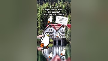 If you can spot all 9 ducks in less than 3 seconds, you’re something! #duck #game #eyetest #fun