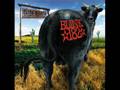 Waggy - dude ranch - blink 182