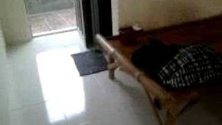 Video0160.mp4