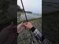 Beautiful spot, solid strike🐍🎣 #fyp #fishing #mancing #castingikanharuan #casting