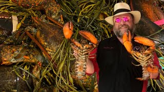 How to Keep Lobsters Alive Longer