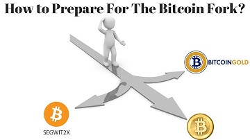 How to Prepare Yourself for the Bitcoin Gold and Segwit2x Hardfork?