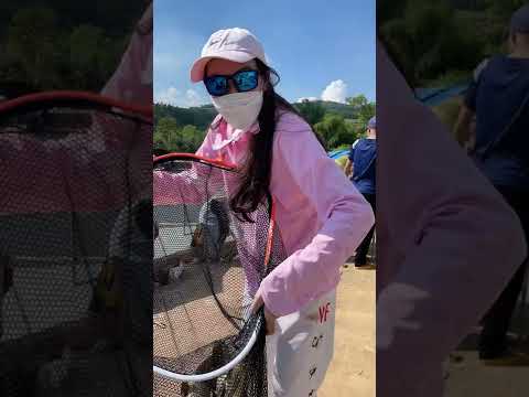 BÁO CÁ NHA ANH EM | VIETNAM FISHING TV #shorts