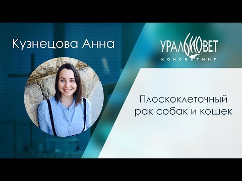 Плоскоклеточный рак собак и кошек. Кузнецова Анна #убвк_онкология