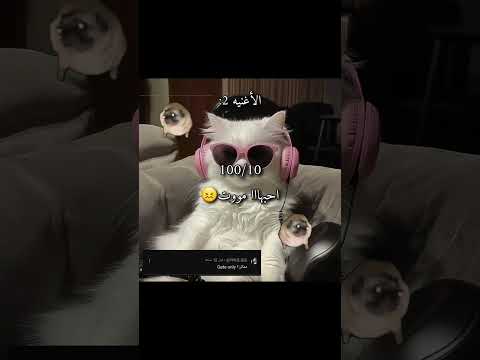 مش عارفه اكتب ايه مالي خلق احط هاشتاقات