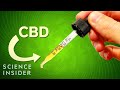 CBD Experiment Quiz