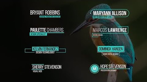 Modern Lower Thirds After Effects Templates