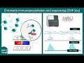 Chip seq  chromatin immunoprecipitation and sequencing  methods in biology  csir net