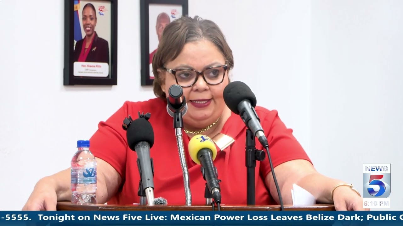 Leader of the Opposition Tracey Panton Address Power concerns.