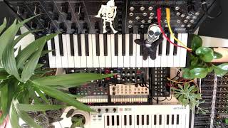 Jam 0044 • Korg • MS-20 • SQ-1 • Volca Keys • Volca FM • Behringer • Model D • Arturia • Keystep