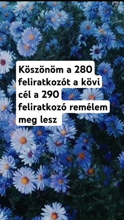 2024. december 29. - YouTube