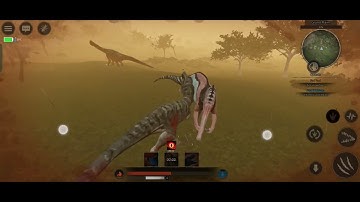 Solo Dasp vs Solo Sucho