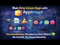 Run Any Linux App with AppImage | No Installation Needed on Any Distro | No Install, No Dependencies