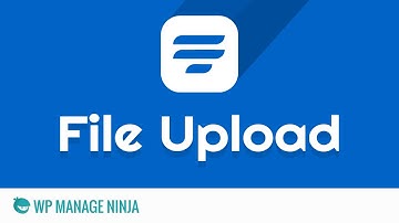 File Upload Input Field in WP Fluent Form WordPress Plugin