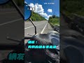 【頭髮比較搶鏡】幸運見證滿天紫斑蝶 網全歪樓：頭毛好吸睛｜狗狗｜紫斑蝶