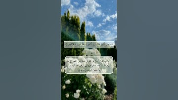 سورة العنكبوت [٥٦-٥٧]. القارئ : عبد الرحمن مسعد
