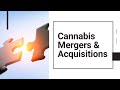 Cannabis Business Mergers & Acquisitions