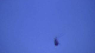 Pokaz Akrobacji Śmigłowcowej Mbb Bo-105 Przez Flying Bulls Z Red Bulla
