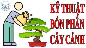 Kỹ thuật Bón Phân cho Cây Cảnh, Hoa Cảnh | TRI THỨC Official