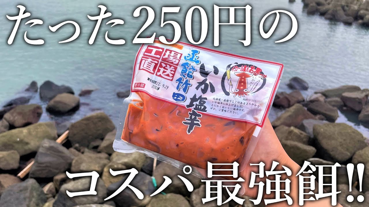 0円で大容量 業務スーパーの いか塩辛 で魚が釣れるのか 穴釣りで検証してみた Youtube