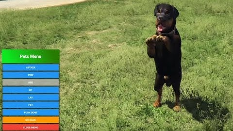 Fivem Custom PETS Script [Standalone/ESX/QB]