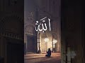 paya#Tiktok#youtubeshorts#islamicsatuts#shortvideo#shorts#phalastine