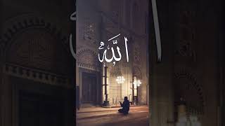 paya#Tiktok#youtubeshorts#islamicsatuts#shortvideo#shorts#phalastine