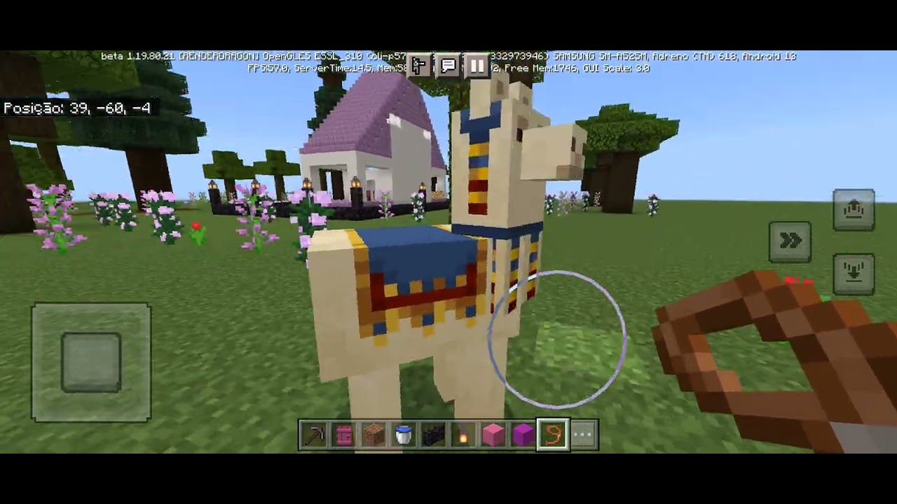 hj vim fazer um video de