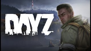 : DayZ   PvP  