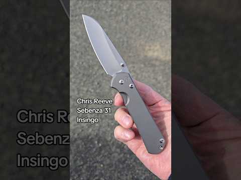         Chris Reeve Sebenza 31 Insingo