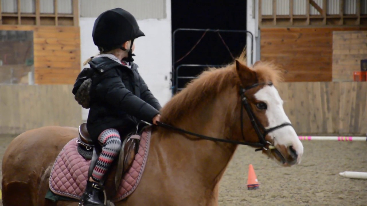 Why should children ride horses?