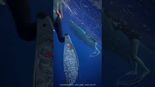 Mauritius only recognizes T11's command when chasing whales