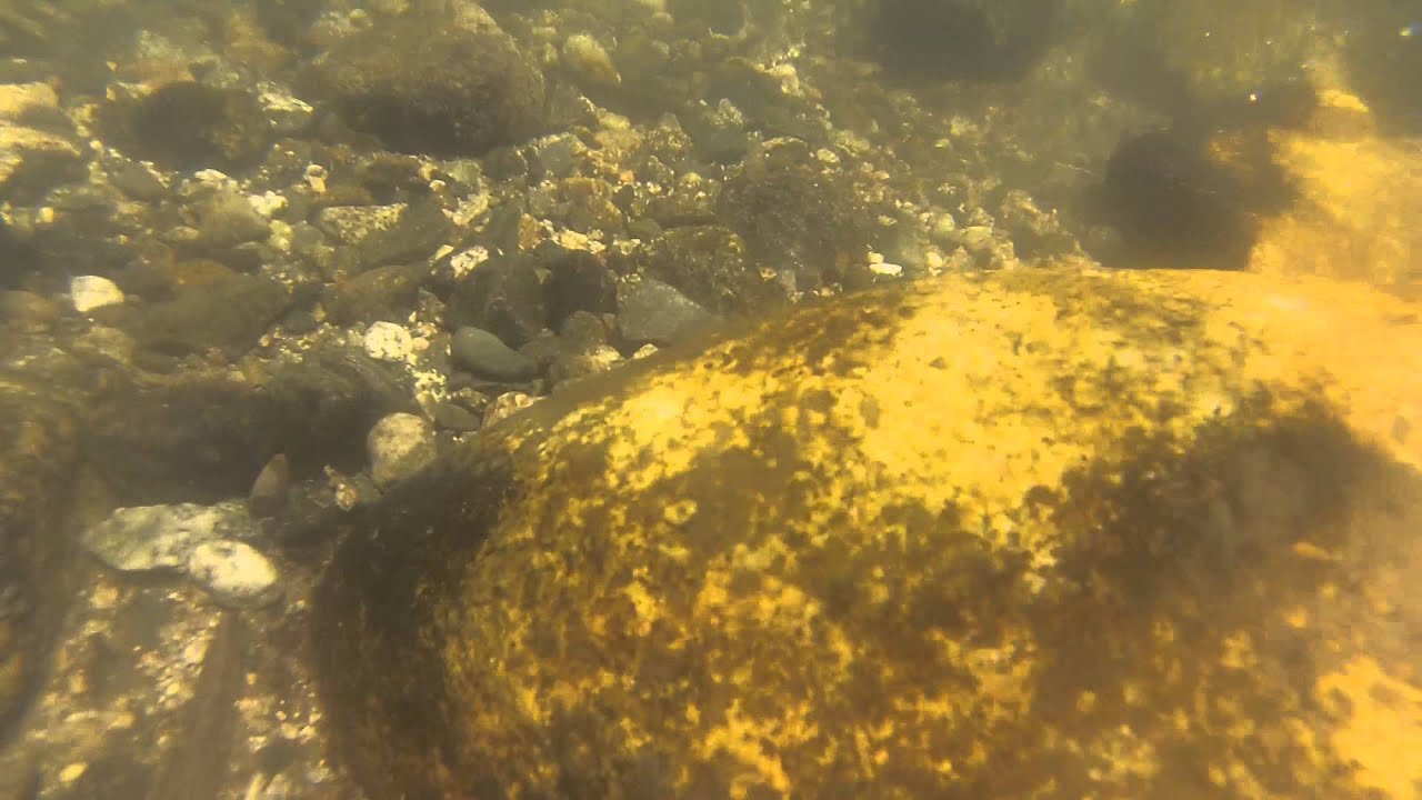 GoPro Rio Magico - Cochiguaz