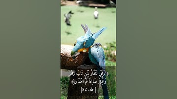 ﴿ وَإِنِّي لَغَفَّارٌ لِّمَن تَابَ وَآمَنَ وَعَمِلَ صَالِحًا ثُمَّ اهْتَدَىٰ﴾[ طه: 82] #تلاوات